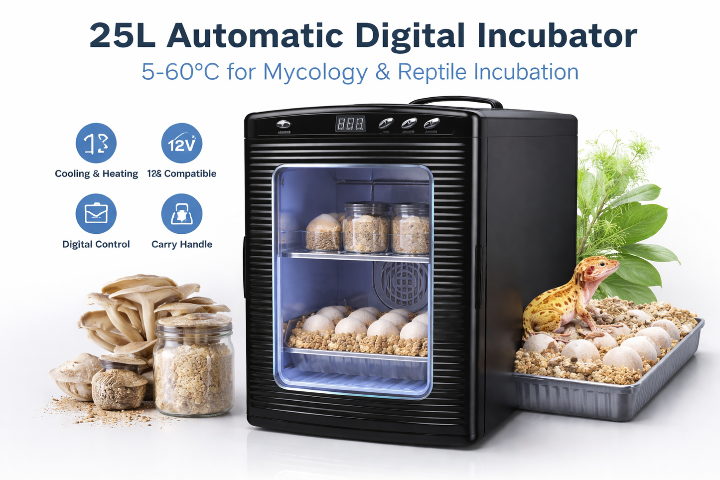 Incubator: 25L 5-60℃ Automatic Digital Control For Mycology or Reptile Incubation